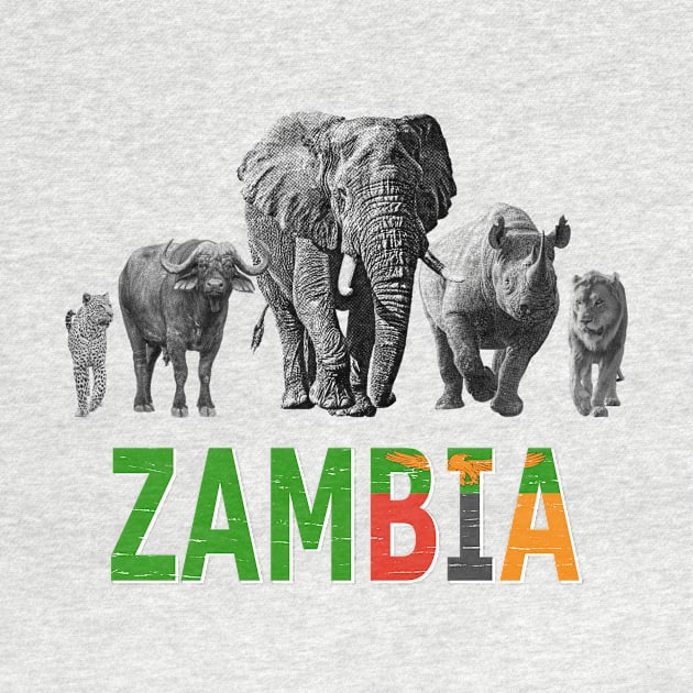 Zambia Wildlife Big Five for Zambia Safari Fans by scotch